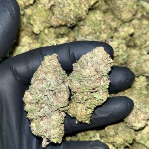 Gelato THCA