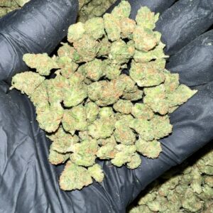 Experience the unique flavor of Black Garlic Gelato THCA Flower. Buy high-quality cannabis buds online at our dispensary. Fast shipping and discreet packaging guaranteed!