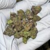 Gelato Floatz THCa Flower