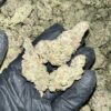 Obi Wan EXOTIC THCA Flower features unique, earthy flavors and a potent, balanced high. High THCA content, ideal for wholesale buyers seeking premium quality.