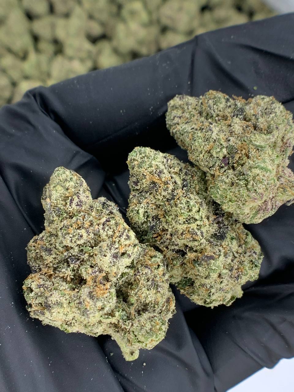 Bubble Gum Runtz THCa 1 Bubble Gum Runtz THCa