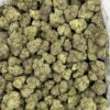 Candy Bolo THCa