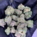 Codeine Cupz THCa Flower