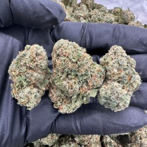 Gelato Runtz THCa