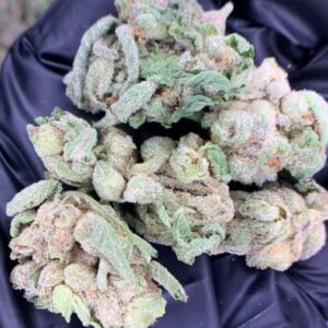 Lions Cake THCa Flower - Closeup of High-THCa Cannabis Buds