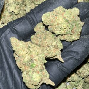 Papaya Bomb THCA Flower Bulk Wholesale