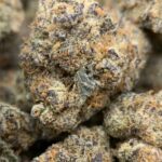 Amaretto Exotic THCa Flower