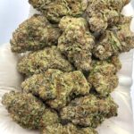 Milky Way Exotic THCA Flower