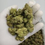 Popeye Runtz THCA Flower