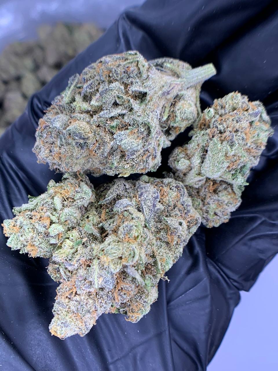 Molotov Cocktail THCa Flower 1 Molotov Cocktail THCa Flower