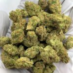 Astro Candy Exotic THCa Flower
