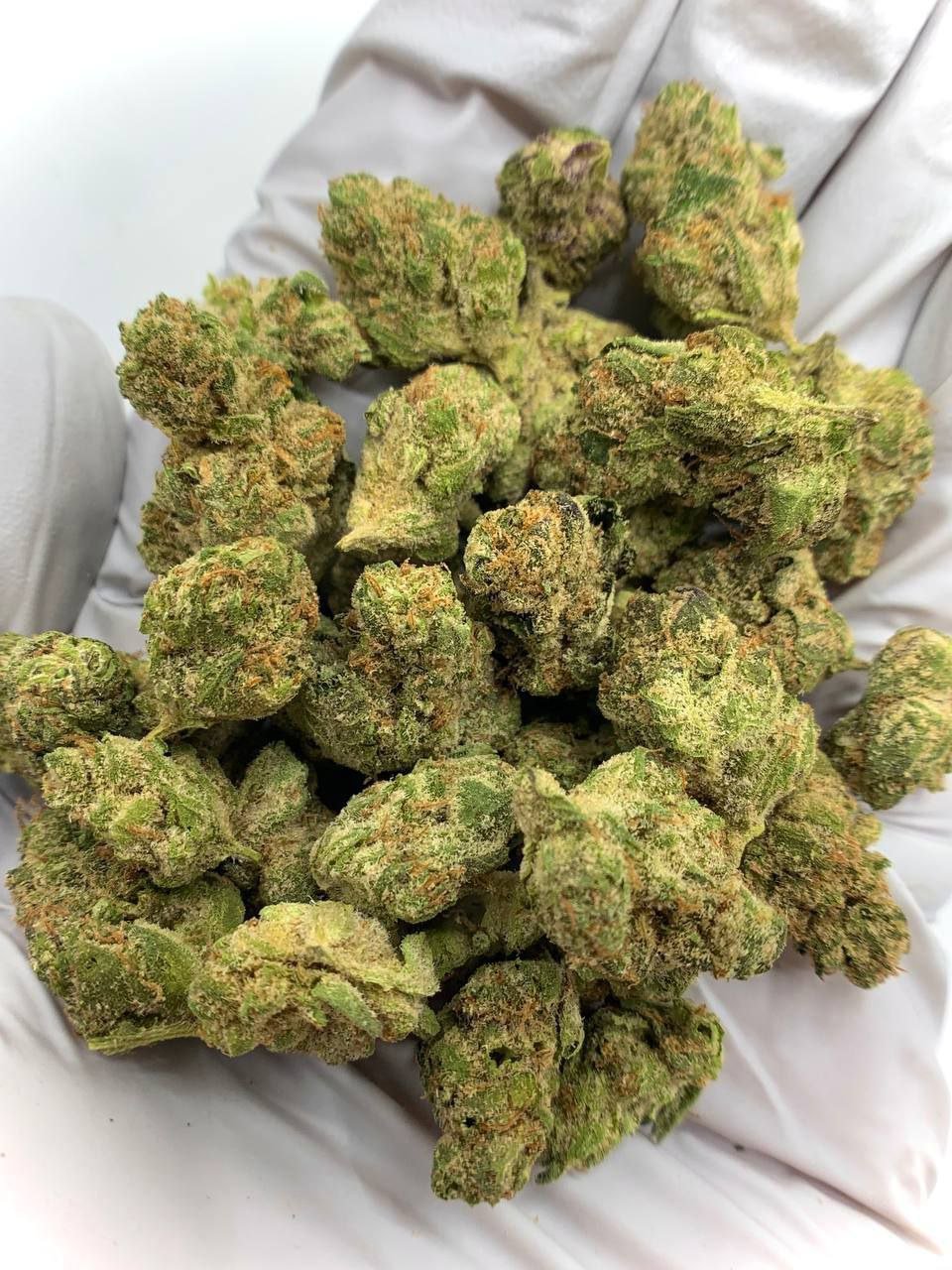 Astro Candy Exotic THCa Flower 1 Astro Candy Exotic THCa Flower
