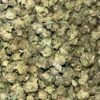 Biscotti THCa Smalls