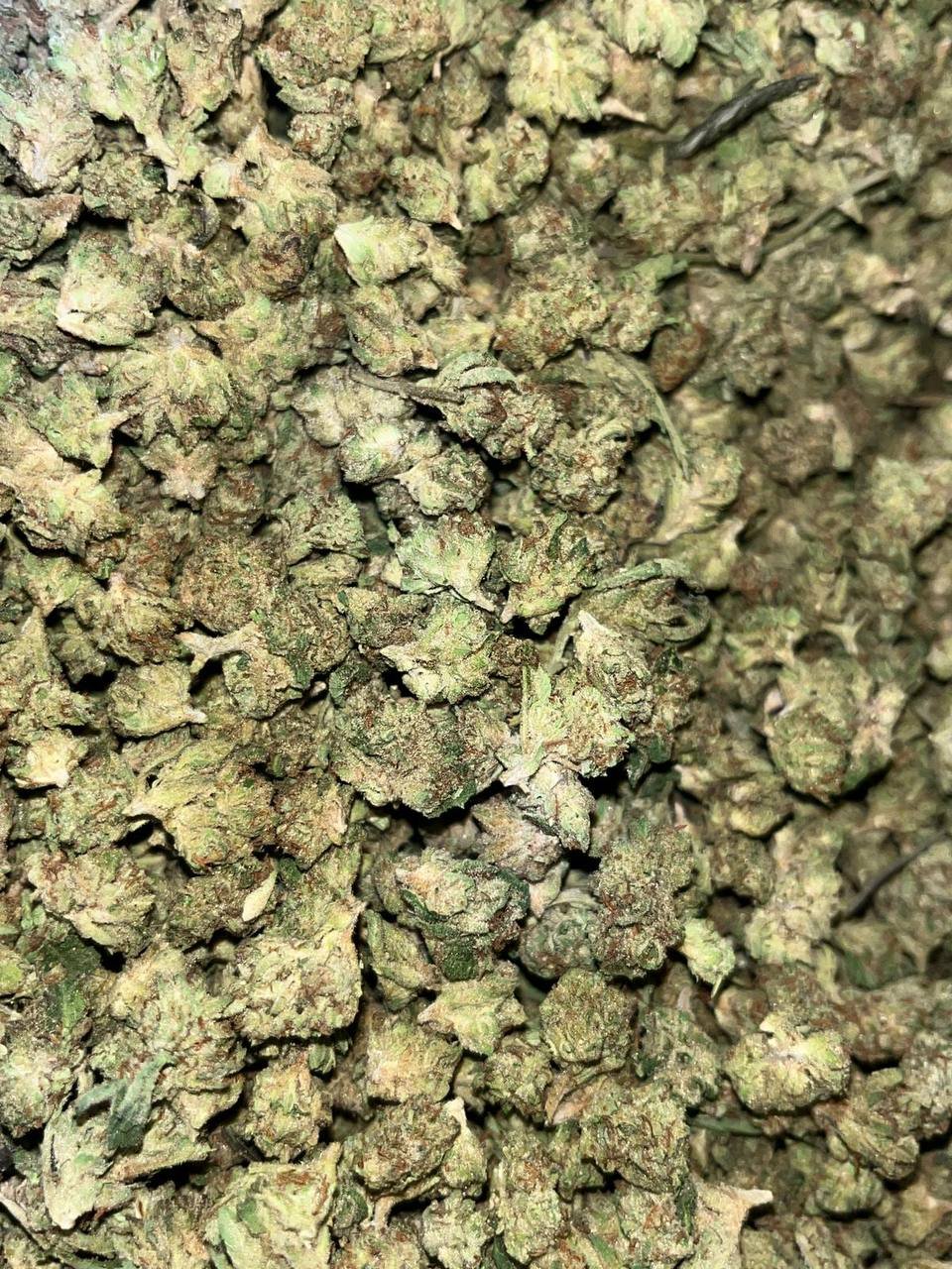 Biscotti THCa Smalls 1 Biscotti THCa Smalls