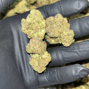 Black Runtz THCa