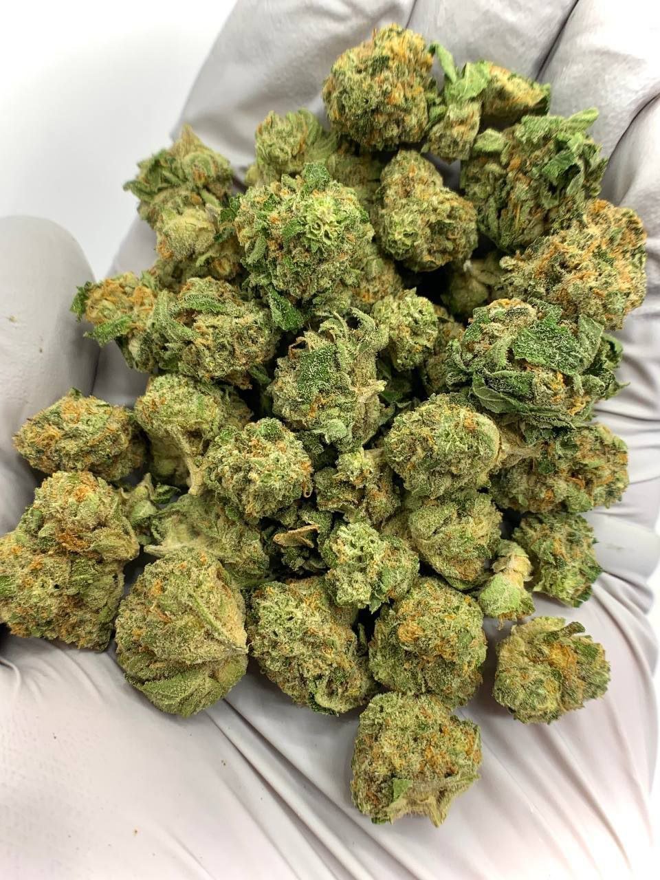 Bubble Bath THCa Flower 1 Bubble Bath THCa Flower