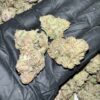 Bubble Gum Gelato THCa Flower