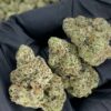Bubble Gum Runtz THCa