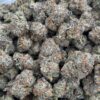 Jack Herer HHC Flower