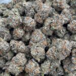 Jack Herer HHC Flower