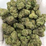 Spooky Runtz THCA Flower