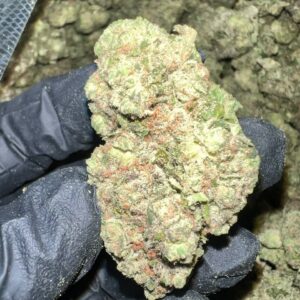 Hash Burger THCa Flower