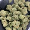 Fiji Mintz THCa Flower
