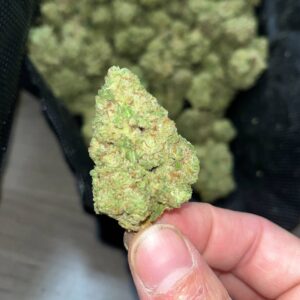 G41 Indoor THCa