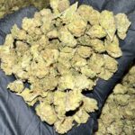 Gary Zkittles THCa Flower