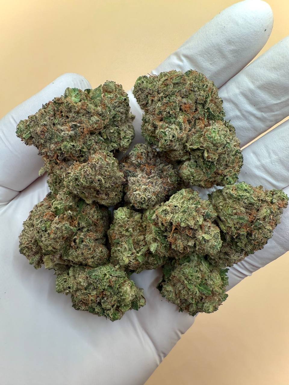 Girl Crush THCA Flower 2 Girl Crush THCA Flower - Image 2
