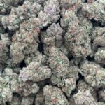 Girl Scout Cookies HHC Flower