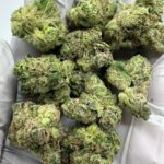 Gorilla Glue #4 THCa Flower