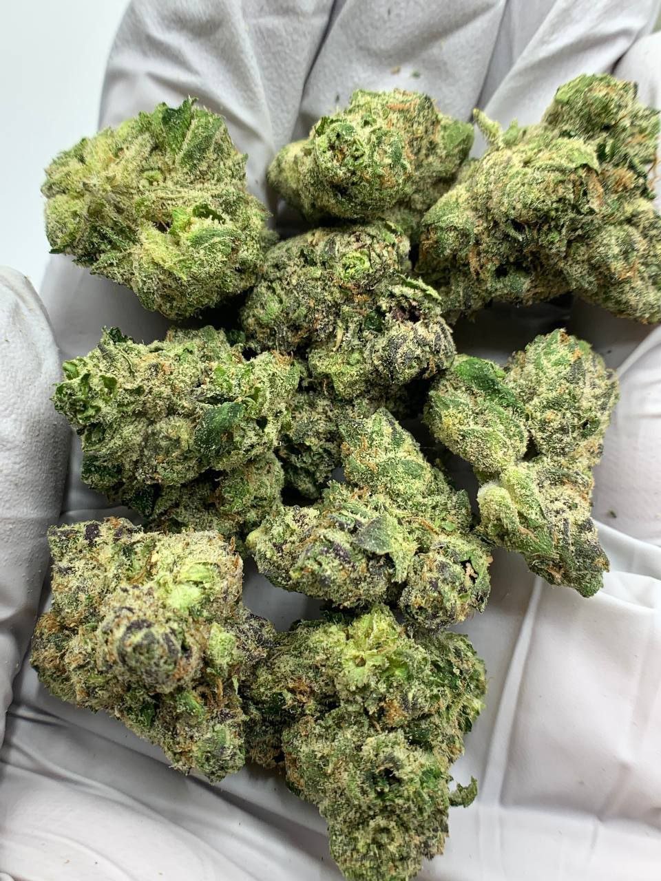 Gorilla Glue #4 THCa Flower 1 Gorilla Glue #4 THCa Flower