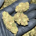 Grape Gas THCa Flower