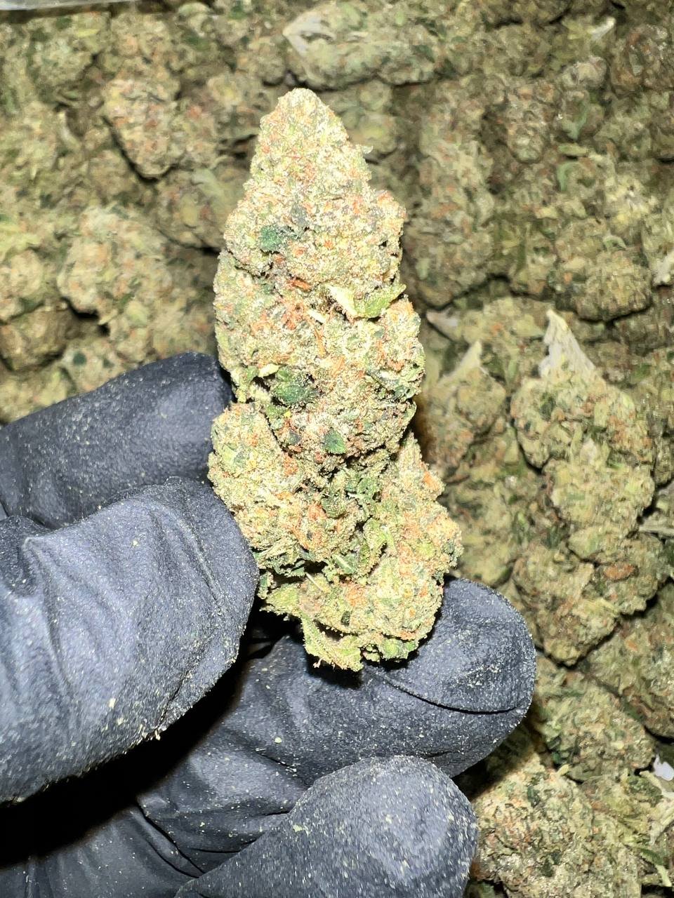 Astro Runtz THCa Flower 1 Astro Runtz THCa Flower