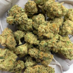 Honey Buns Exotic THCa Flower