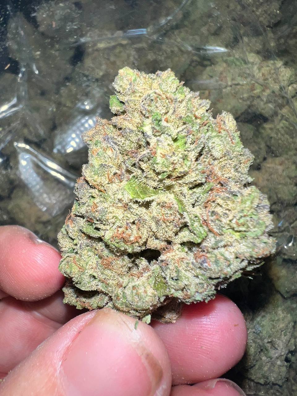 Ice Cream Cake THCa 1 Ice Cream Cake THCa