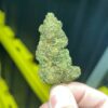 Jealousy Indoor THCa