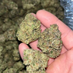 Jealousy THCa