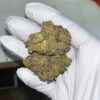 Jungle Driver THCA Flower