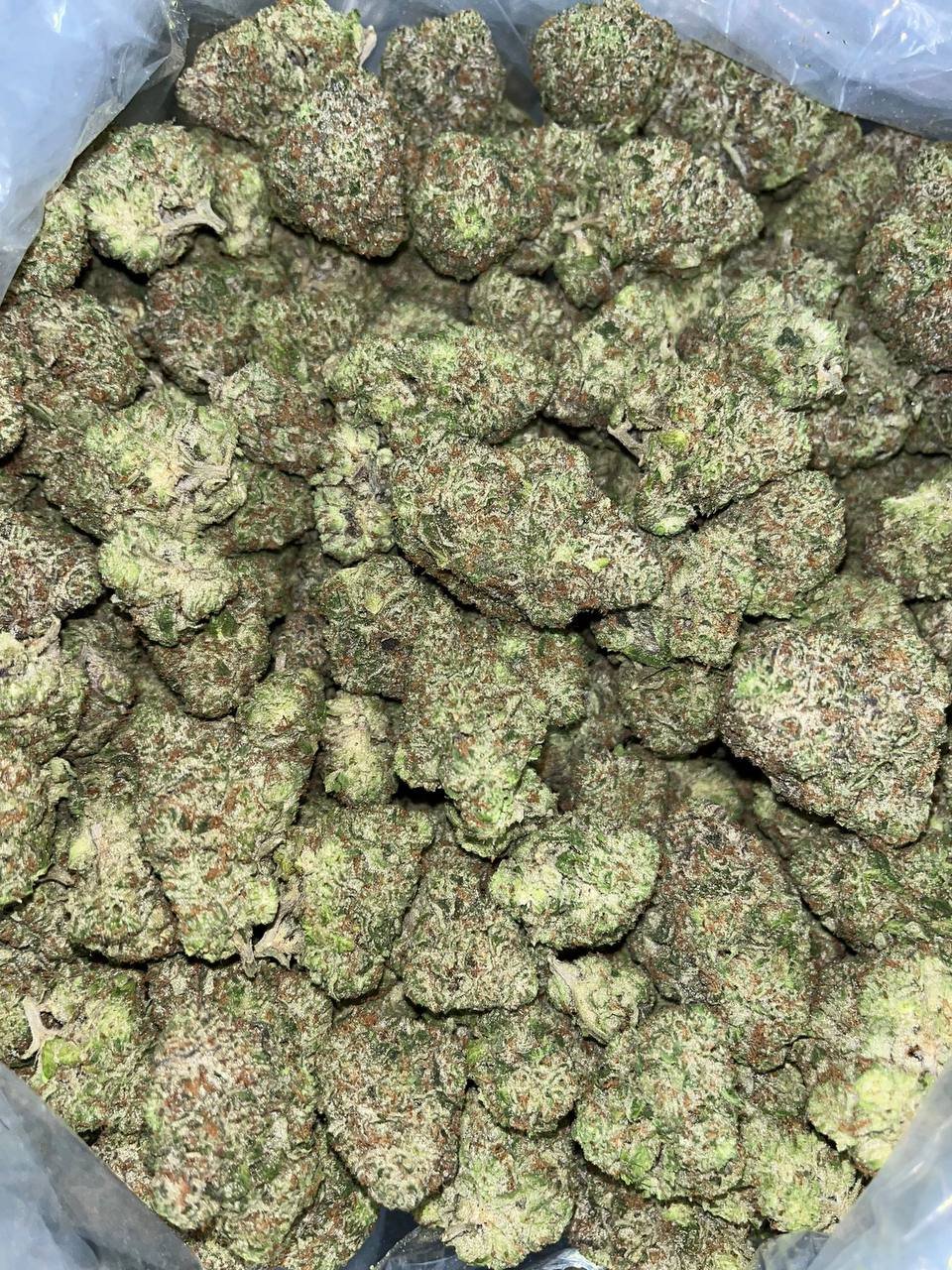 Larry Bird Exotic THCA 2 Larry Bird Exotic THCA - Image 2