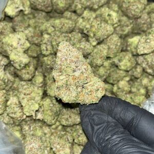 Larry Bird Exotic THCA