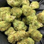 Candy Glue THCa Flower