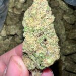 Lava Cake THCA