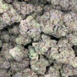 Oreoz THCA Exotics