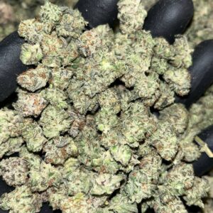 Oreoz smalls THCA Exotics