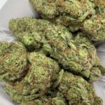 Piff Mintz THCa Flower