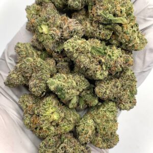 Pink Gummy Exotic THCa Flower