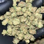 Platinum Punch THCa Smalls