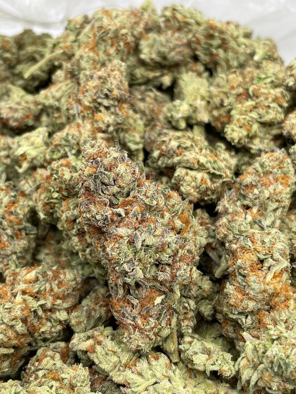 Sherblatto THCa Flower 1 Sherblatto THCa Flower